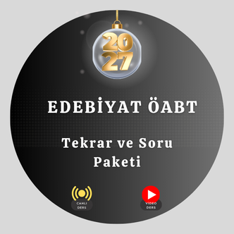 Video Image